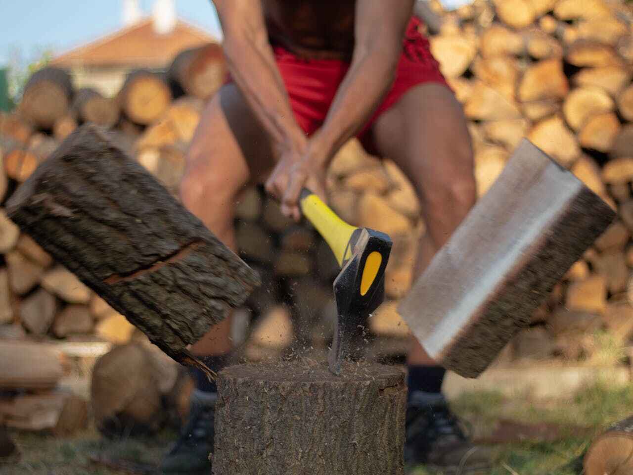 Best Tree Cutting Near Me  in Opelousas, LA